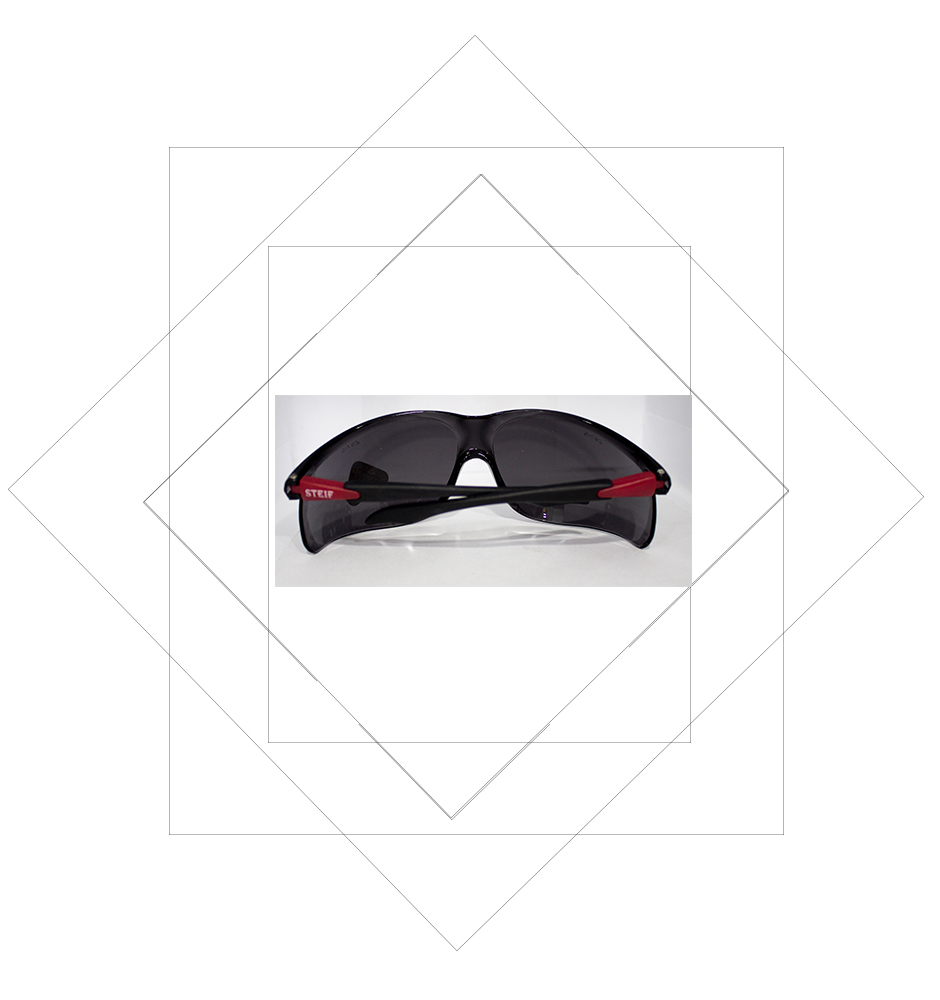 TF005 Red Hinge Safety Spectacles-antifog